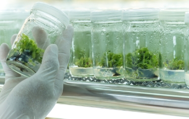 Introduction to Biology