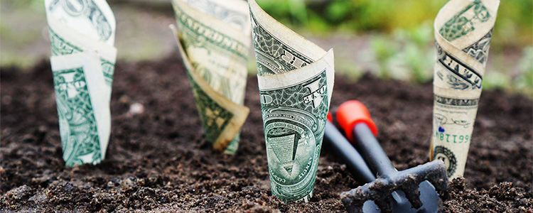 Nonprofit Fund Development