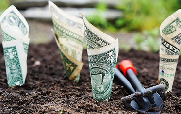 Nonprofit Fund Development