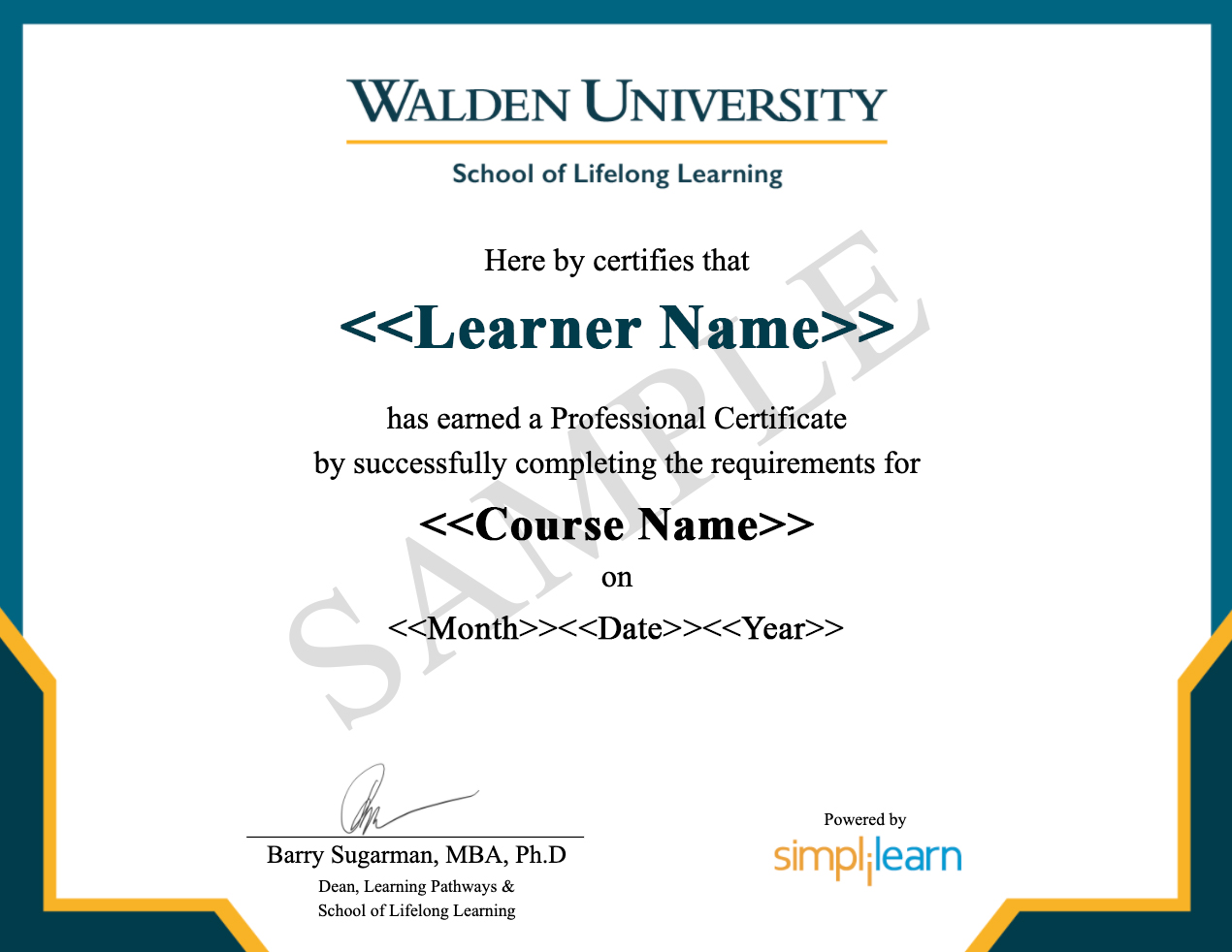 Certificate of Achievement For Cyber Security Expert Program